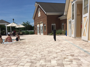 Commercial Paved Area, Lutz, FL