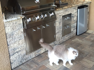 Residential Outdoor Kitchen, Tampa, FL
